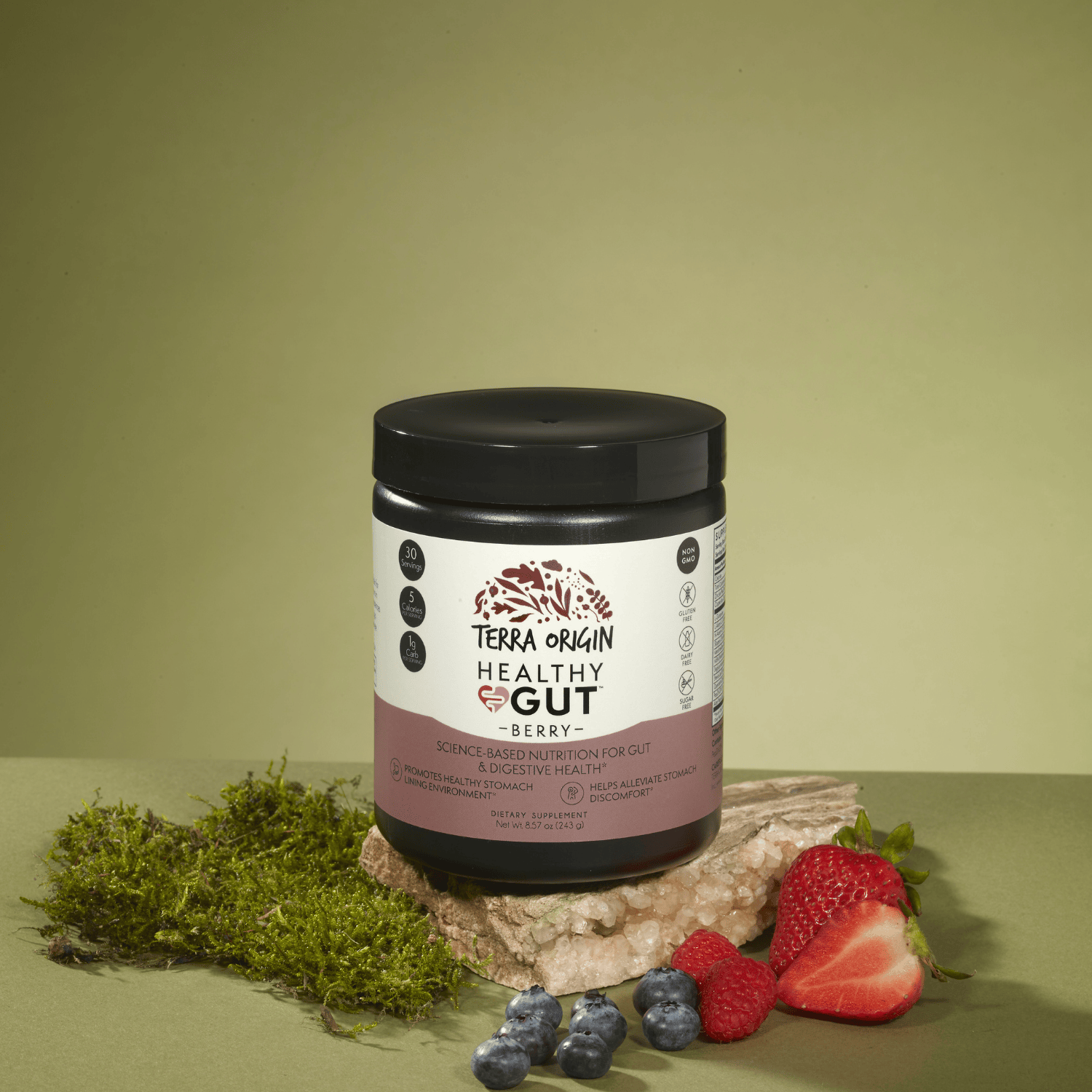 Terra Origin Healthy Gut Berry supplement jar on a green background with berries and moss.