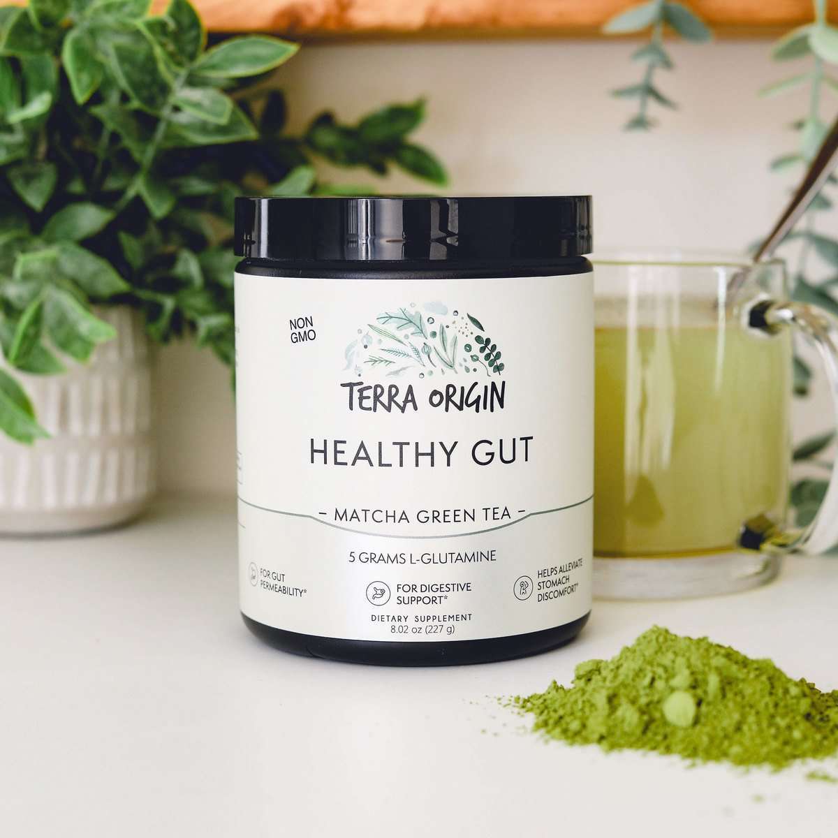 Healthy Gut next to a glass of Matcha Green Tea