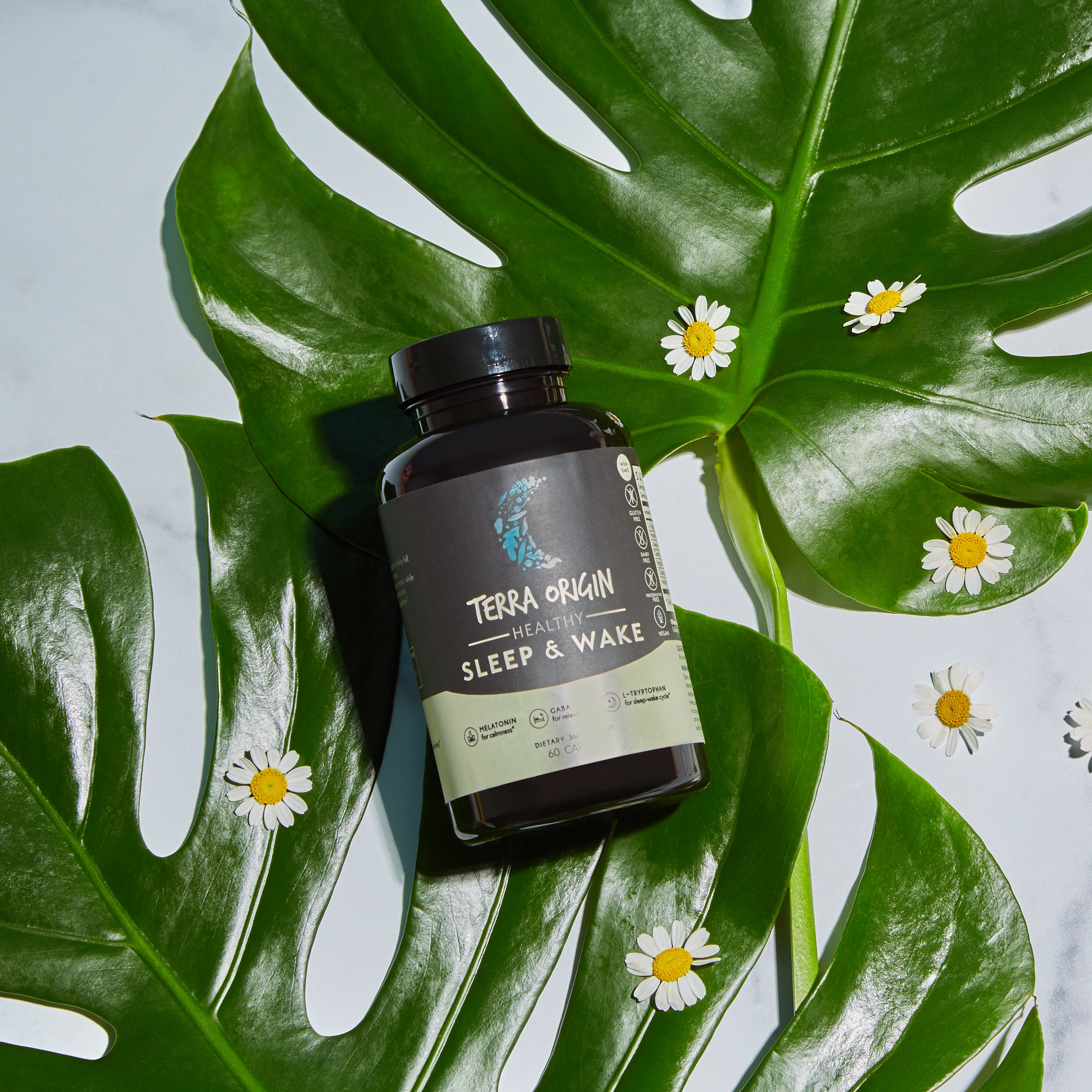 Healthy Sleep & Wake
