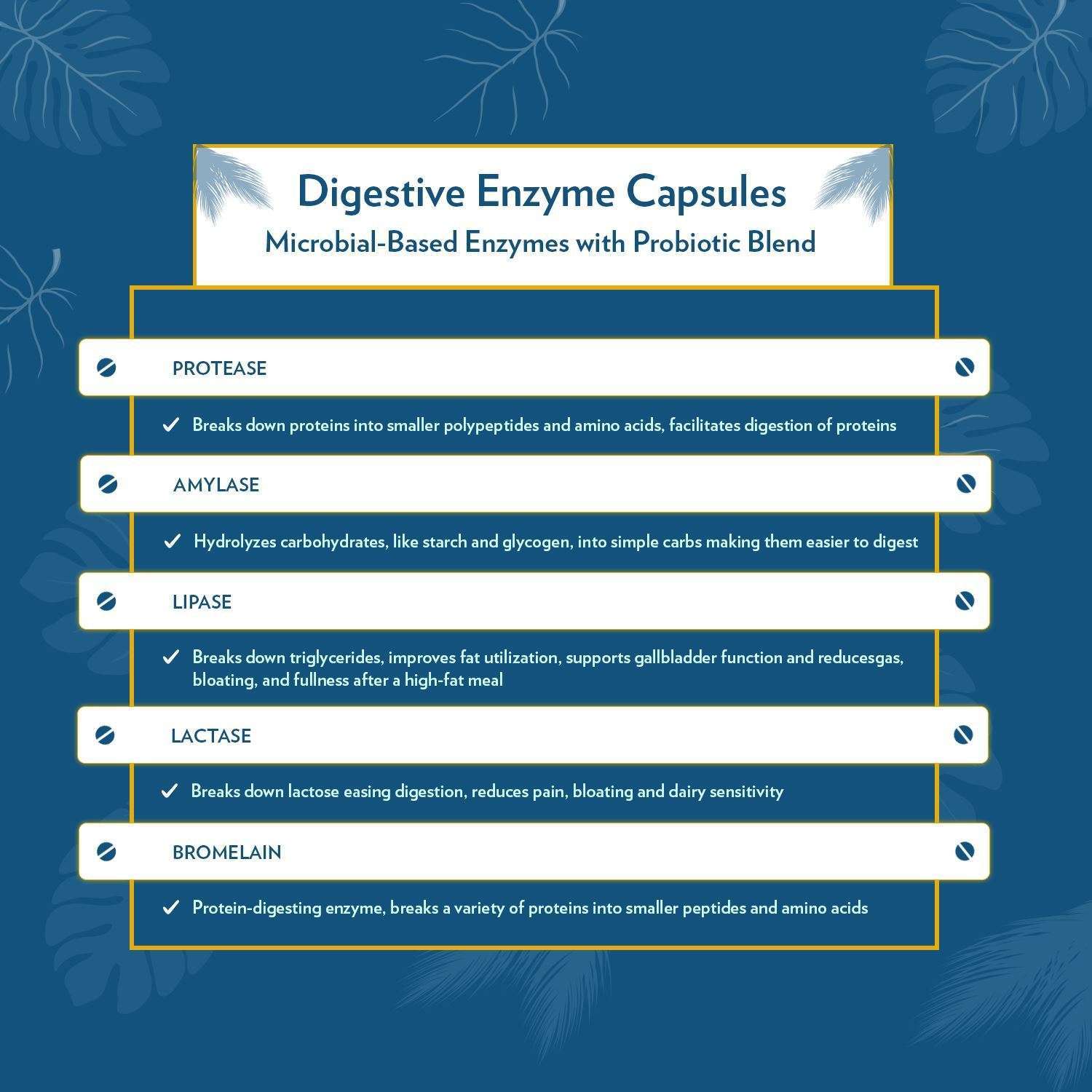 Digestive Enzyme Capsules