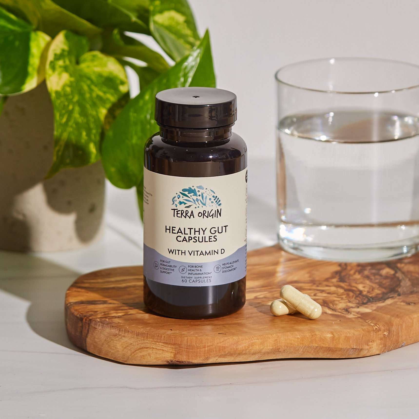 Healthy Gut Capsules & Immunity Boost