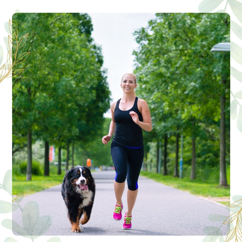 person running with their dog