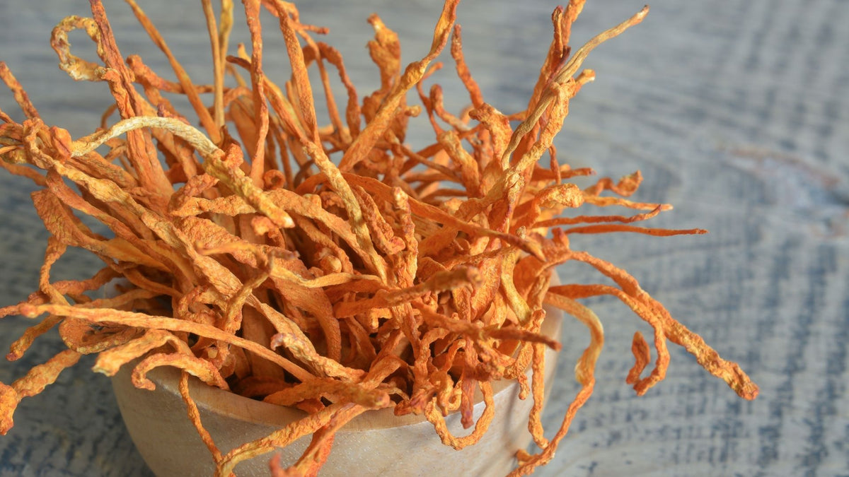 dried cordyceps mushrooms