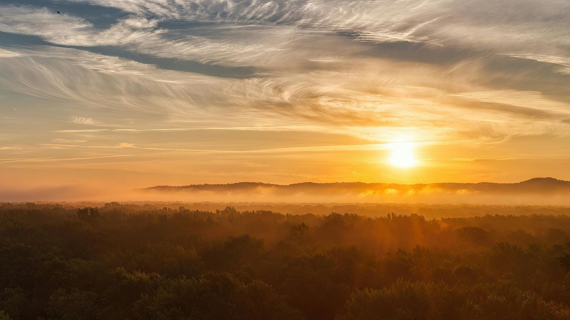 a sunrise