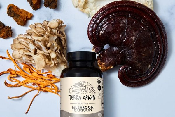 Flat lay of adaptogenic mushrooms surrounding a supplement bottle