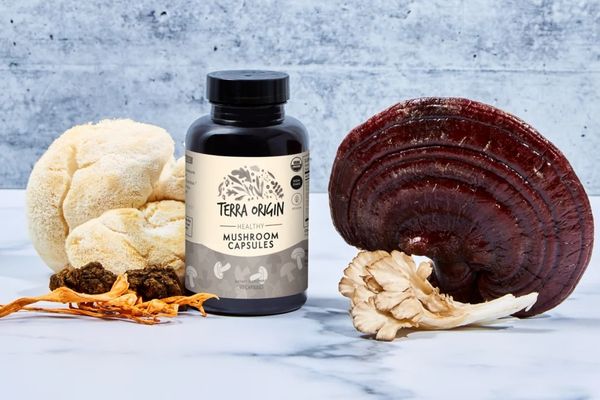 Supplement bottle surrounded by reishi, lion's mane, and cordyceps mushrooms