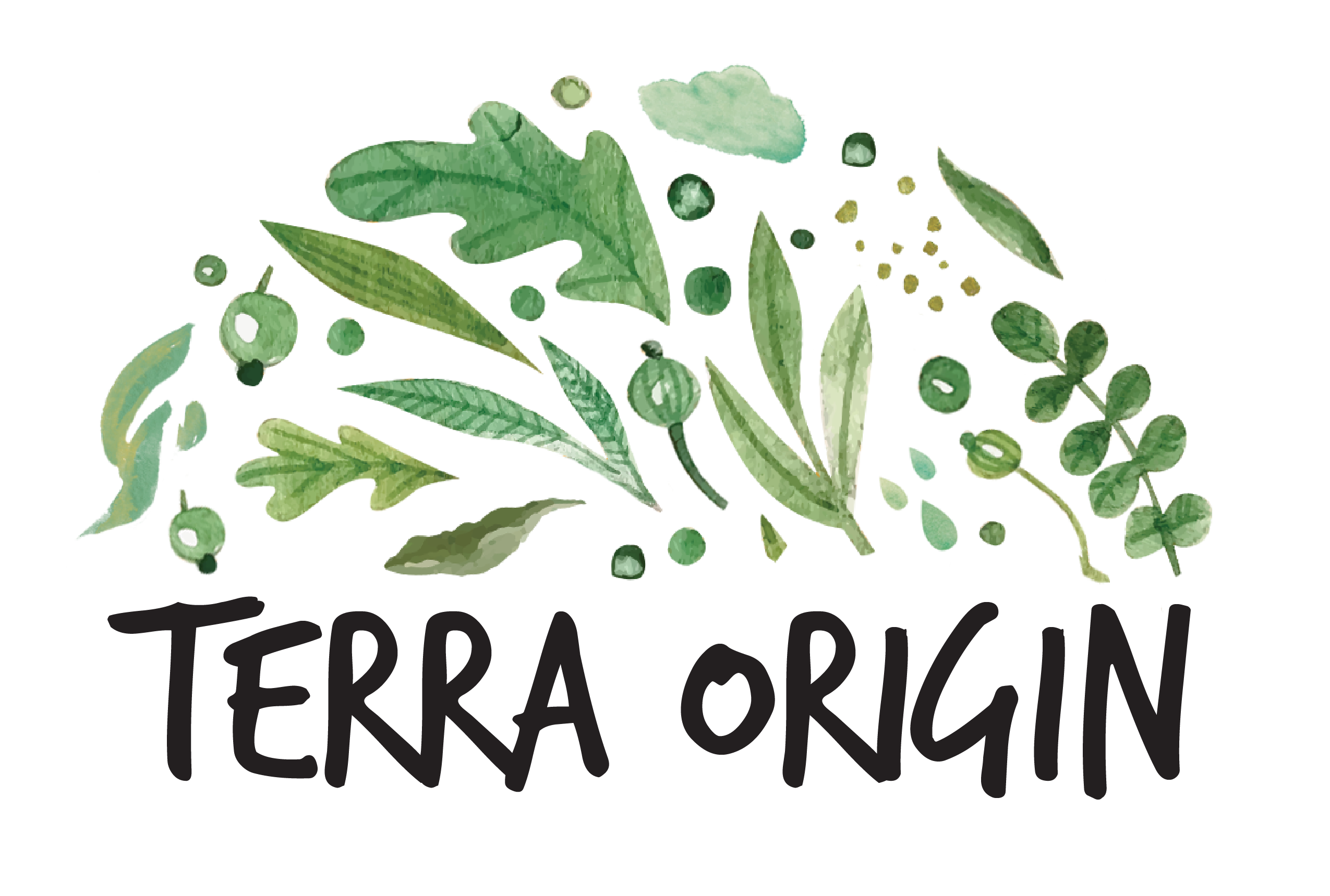 Terra Origin