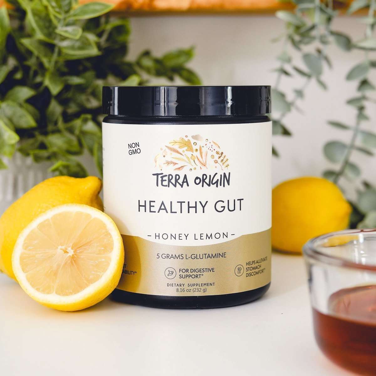 Terra Origin's Gut Health Powder Supplement | L-Glutamine Digestive ...