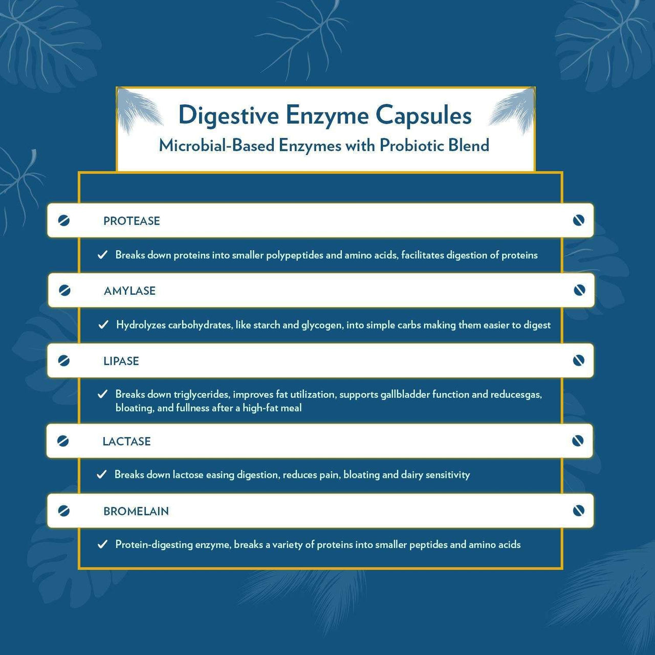 Digestive Enzyme Capsules